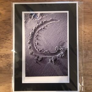 NWT Alphabet Letter Art Photography